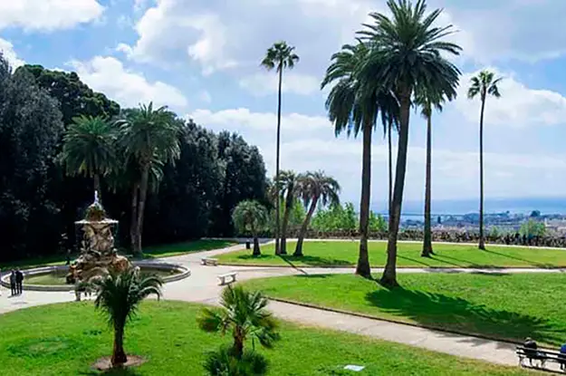 Bosco di capodimonte
